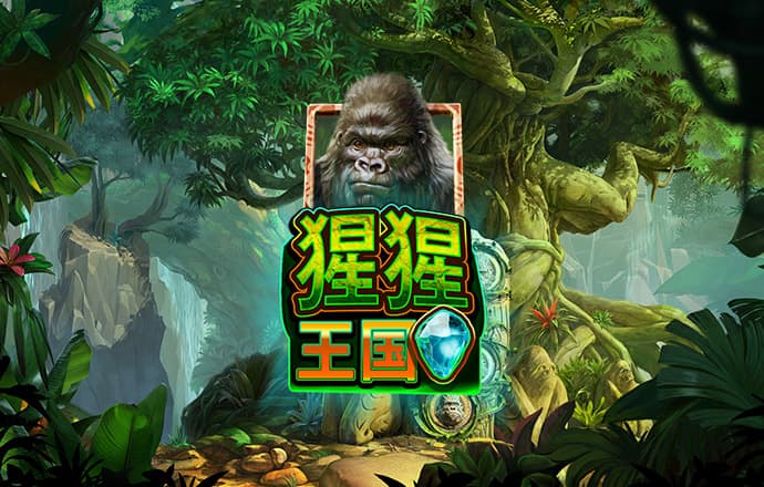 kok官网app体育截图0